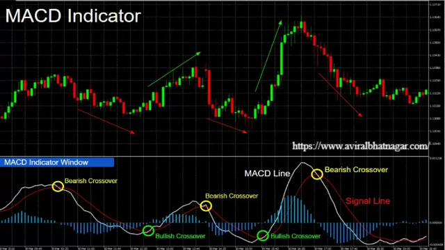 Menguasai Pasar dengan Indikator Trading Paling Akurat